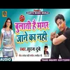 About Bulati Hai Magar Jane Ka Nahi (Bhojpuri) Song