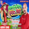 About Sawan Me Mela Ghumada Piya Song