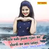 About Faile Nahi Paam Rijaei Me Shardi Me Aesi Satayi Song