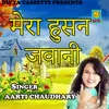 About Meri Hussan Jawani (Haryanvi) Song