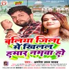 About Ballia Jila Me Khilal Hamar Namwa (bhojpuri) Song