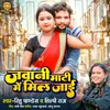 About Jawani Maati Me Mil Jaai (Bhojpuri) Song