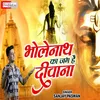 About Bholenath Ka Jagh Hai Dewana (Hindi) Song