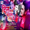About Dil Toreli Pagal Pyar Me Song
