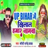 About Up Bihar Me Khilal Hamar Namawa Song