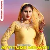 About Subin Ka Attitude Mewati Song