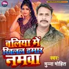 About Baliya Me Khilal Hamar Namwa (Bhojpuri) Song