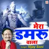 About Mera Damru Wala (hindi) Song