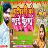 About Pagli Ke Kaise Bhulai Song