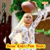 About Shani Karti Paai Dholi Song