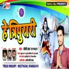 About He Tripurari (Shiv Bhajan) Song