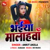 About Bhaiya Malahawa (Bhojpuri Song) Song