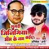 About Sagri Jinigiya Bhim Ke Naam Kaida Song