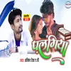 About Palangiya Bhojpuri Song