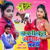 About Kakari Kul Kha Gail Bakari Dhobi geet bhojpuri Song