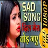 About Dil Tod Gaye Song