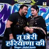 About Tu Chhori Haryana Ki Hindi Song
