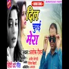 About Dil Churai Mera Bhojpuri Song