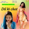 About Dil Ki Chot Haryanvi Song
