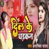 About Dil Ke Dharkan Bhojpuri Song Song