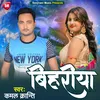 About Bihariya Song