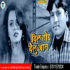 About Dil Tor Delu Jaan Bhojpuri Song