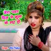 About Mera Pyar Dil Se Bhula Ke Gaye Ho Song