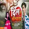 About Dil Ke Khelavna Bhojpuri Song