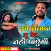 About O Bewafa Tu Reh Nhi Paegi (Hindi) Song