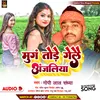 About Mung Tode Gele Anjaliya Song