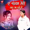 About Ae Sanam Teri Yad Aarhi Hai Hindi Song