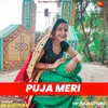 About Puja Meri Song