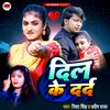 About Dil Ke Dard Bhojpuri Song