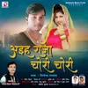 About Aeah Raja Chori Chori Bhojpuri Song Song