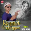 About Dilwa Ke Darad Bujhena Song