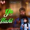 About Ya Ilahi Islamic Song