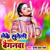 About Leke Suteli Baiganava Bhojpuri Holi Song Song