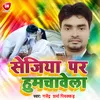 About Sejiya Par Humchawela Song