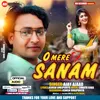 O Mere Sanam HINDI