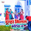 About Dulha Milal Kariya N Bhojpuri Song Song