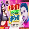 About Bhatar Lagtar Karela Bhojpuri Song