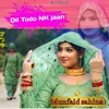 About Dil Todo Nk Jaan Song