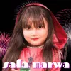 About Pashto Naat Wayo Marhba Darta Wayo Marhba Darta Song