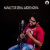 About Napaile Tor Dekha Jabore Moriya Song
