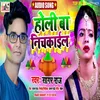 About Holli Ba Nichakail Bhojpuri Song