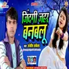 About Jindagi Jahar Banbalu Bhojpuri Song Song