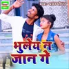 About Bhuleih Nai Jaan Ge Song