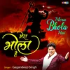 About Mera Bhola Hai Song