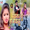 About Bewafa Tu Ho Gaelu Bhojpuri Song