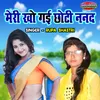 About Meri Kho Gayi Chhoti Nanad Song